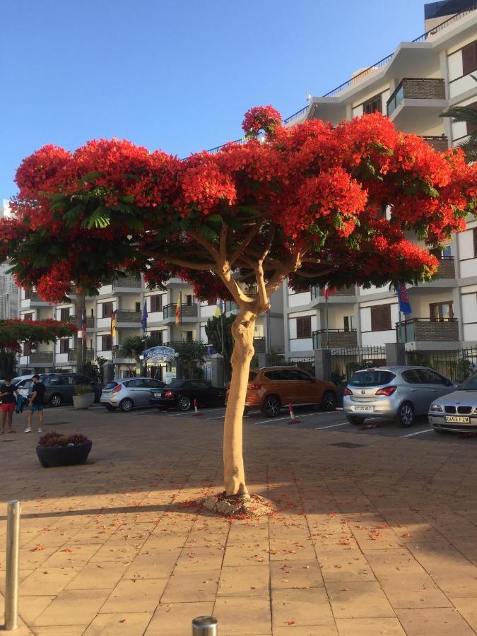 Top Floor Sea View Central Holiday Home Maspalomas  Eksteriør bilde